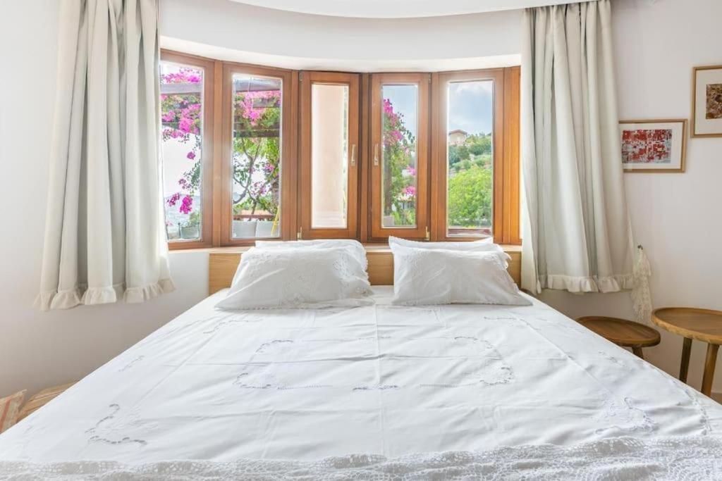 Modern Villas With Gardens And Stunning Views リガリア エクステリア 写真