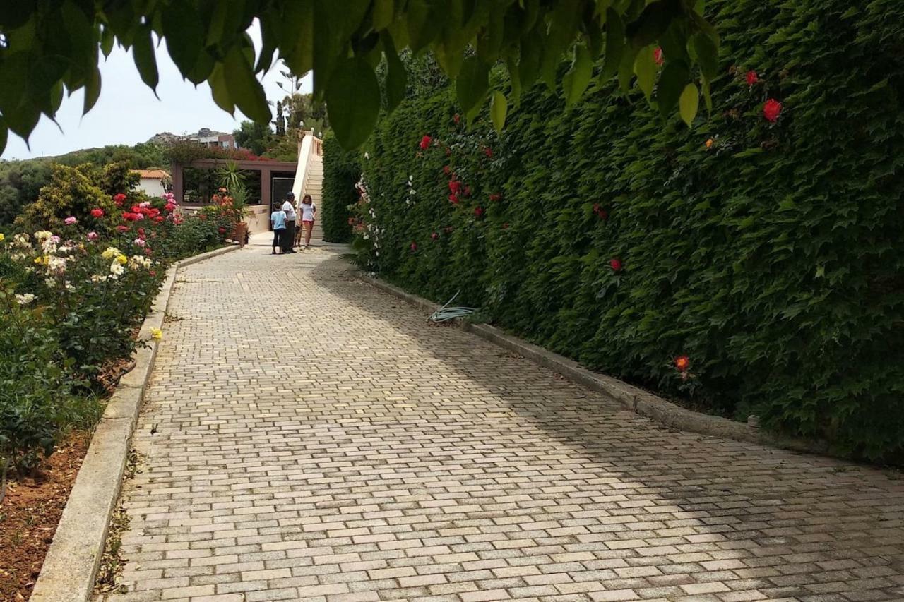Modern Villas With Gardens And Stunning Views リガリア エクステリア 写真